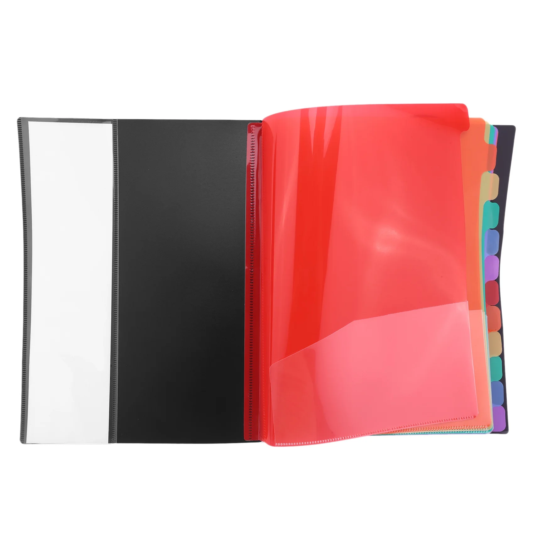 Extended Folder,12 Pocket Letters A4 Paper Item Sorter,Plastic File Storage Bag,