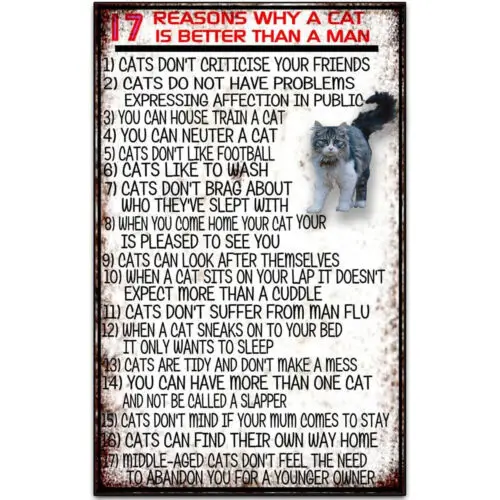 Metal Cat Sign 17 Reasons A Cat is Better Than A Man Tin Signs Poster 12x8in