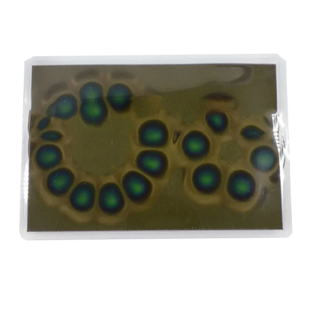 1PCS 25/30/50mm Magnetic Field Viewing Film Field Viewer Pattern Display Membrane Magnetic Card Detector Educational Tool