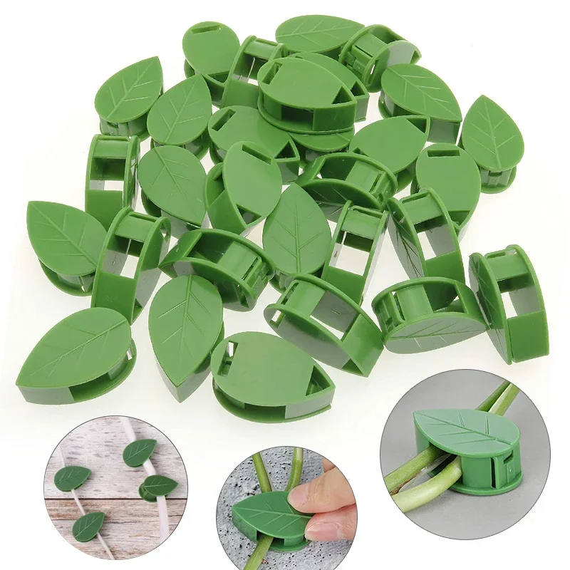 1-50Pcs invisible plant wall climbing device vine bracket fixed buckle leaf clip traction rack garden supplies