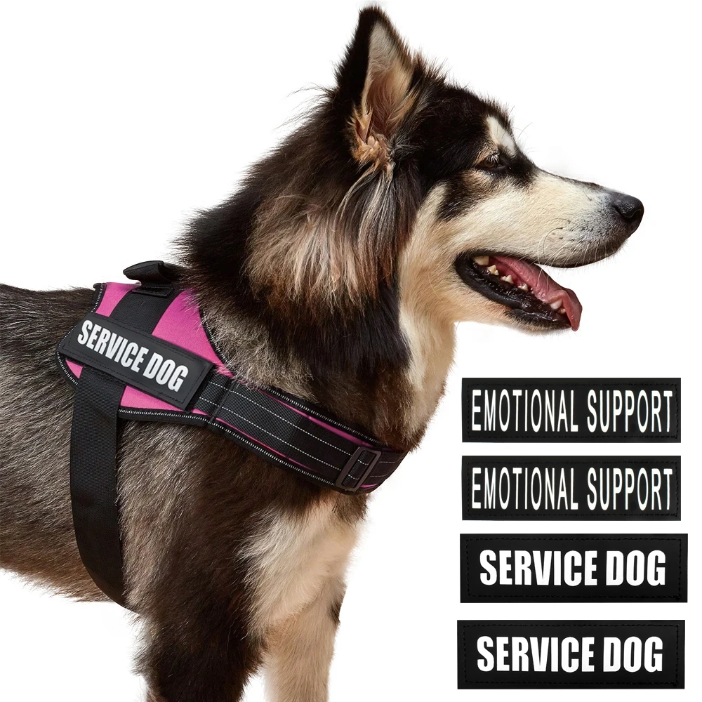 Reflektierendes Hundegeschirr, Weste, Aufnäher, ID, individuell, ohne Ziehen, atmungsaktiv, verstellbar, Haustiergeschirr für Hunde, Outdoor-Walking, Hundebedarf – Detail 25