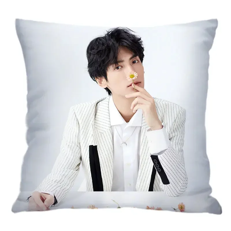 Luo Yunxi Pillowcase Pretty Scholar Same Paragraph Star Photo Poster Cushion Cover Surrounding Souvenir Pillow Covers Decorative