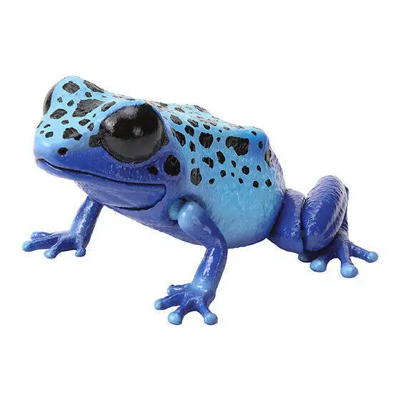 Bandai Creature Encyclopedia: Dart Frog, Frog & Strawberry  Dart Frog Realistic Animal Figure Decoration Model Toy view 6