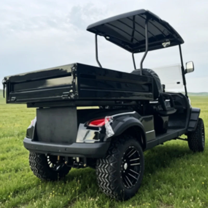 Wholesale Best New Eco-Friendly Low Noise Electric Golf Cart Cargo Cart With Off-Road Tires Rear Cargo Box Upholstered Seat