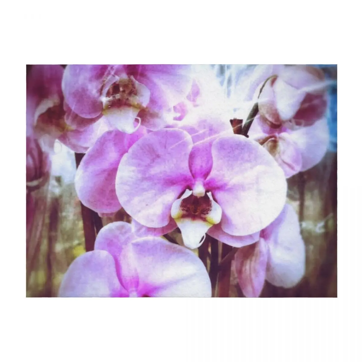 

Purple or Pink Orchids Throw Blanket Warm Flannel christmas decoration Furry Blankets