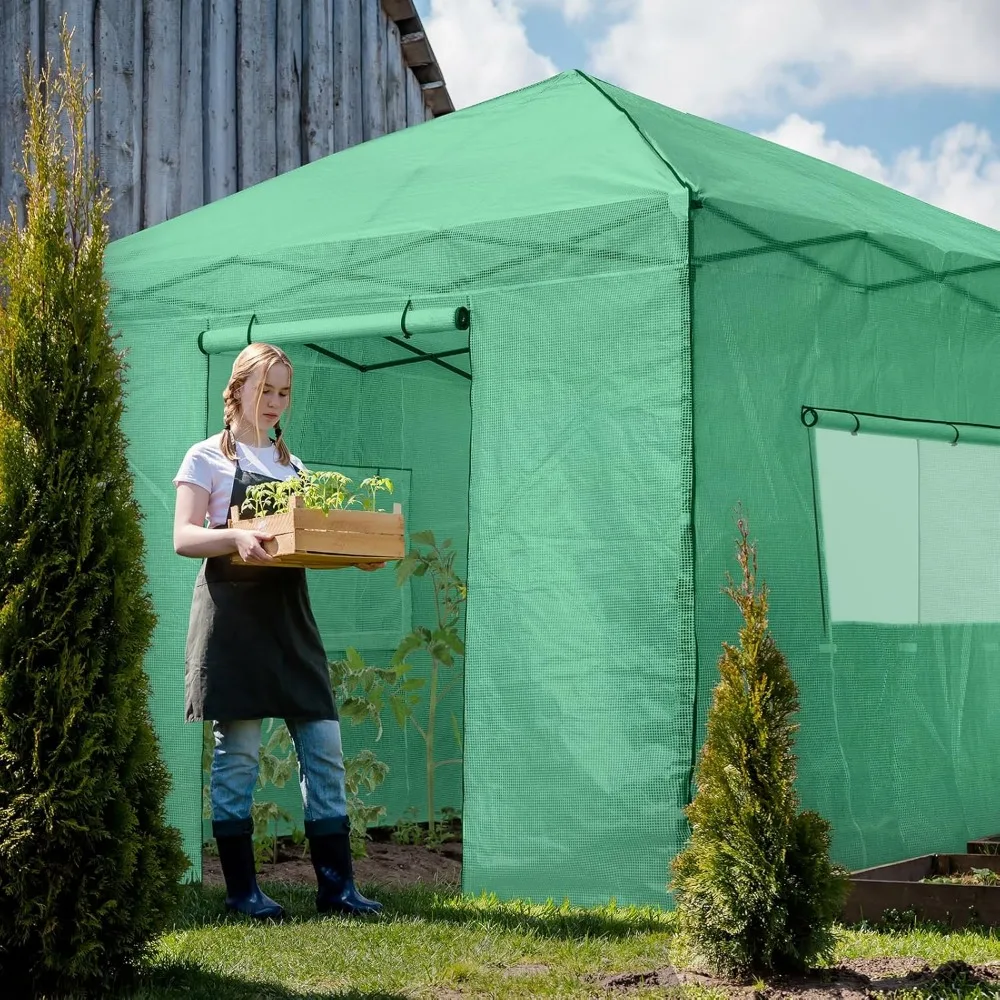 10x10 Greenhouse with Portable Walk-in, Pop-up Indoor Outdoor, Zippered Doors and Windows, PE Cover, Conservatory