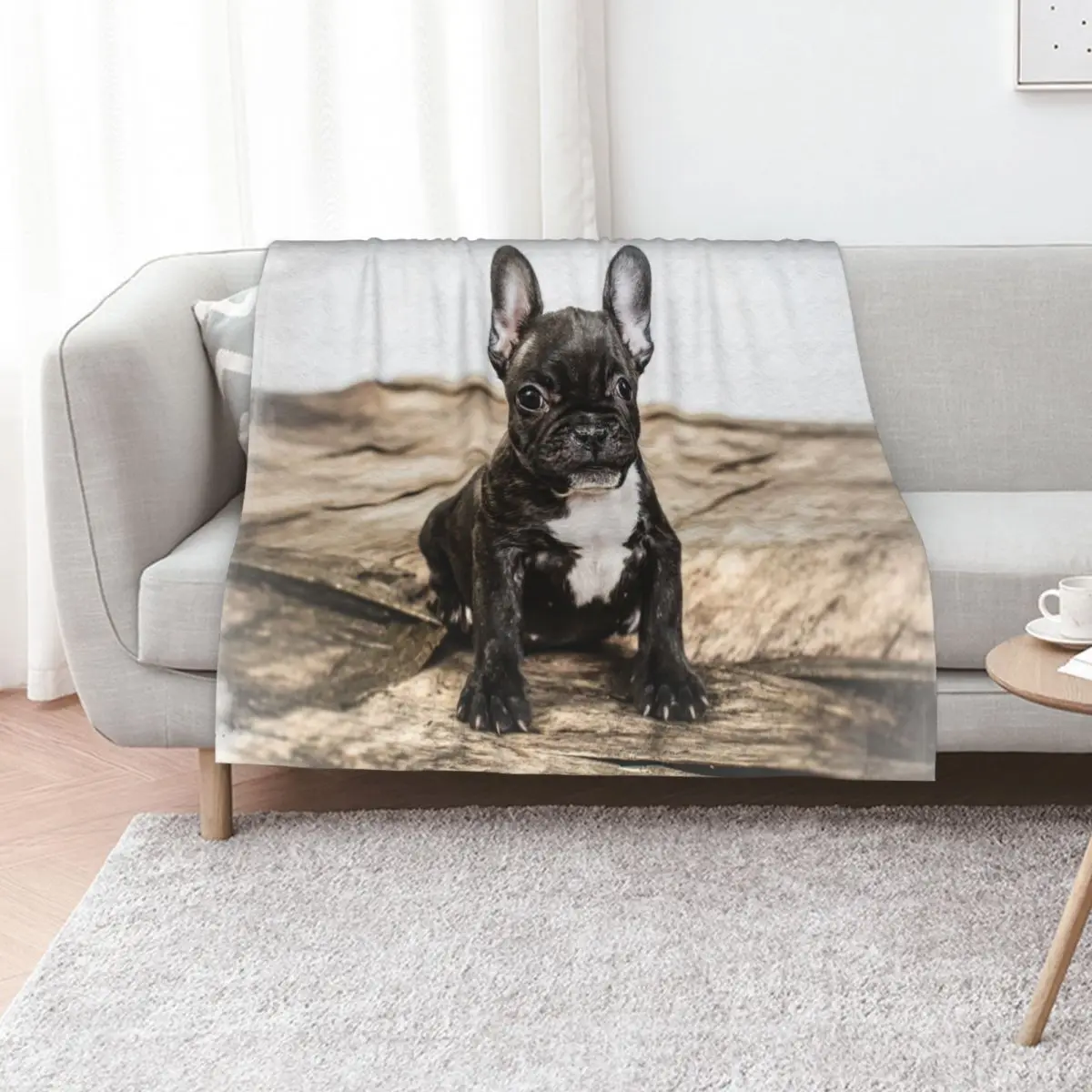 French bullodg puppy Throw Blanket Kid'S Bed Giant Sofa Personalized Gift Sofa Quilt Nap Blankets