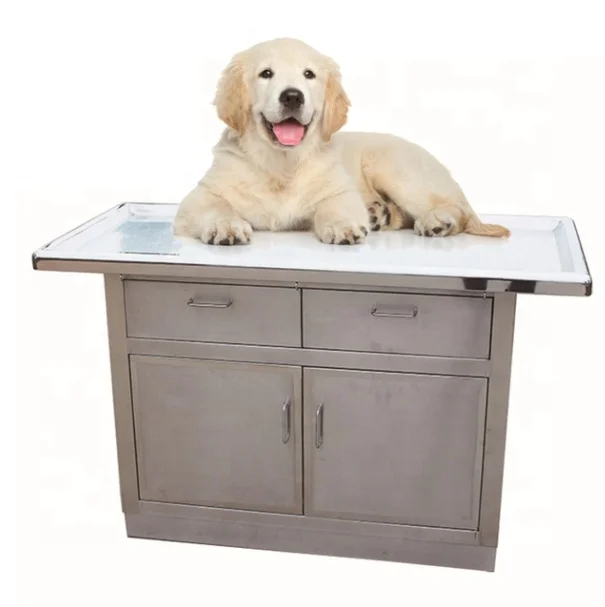 Factory Direct Stainless Steel Double Drawer Veterinary Exam Table Puppy Treatment Disposal Cabinet for Pet Hospitals