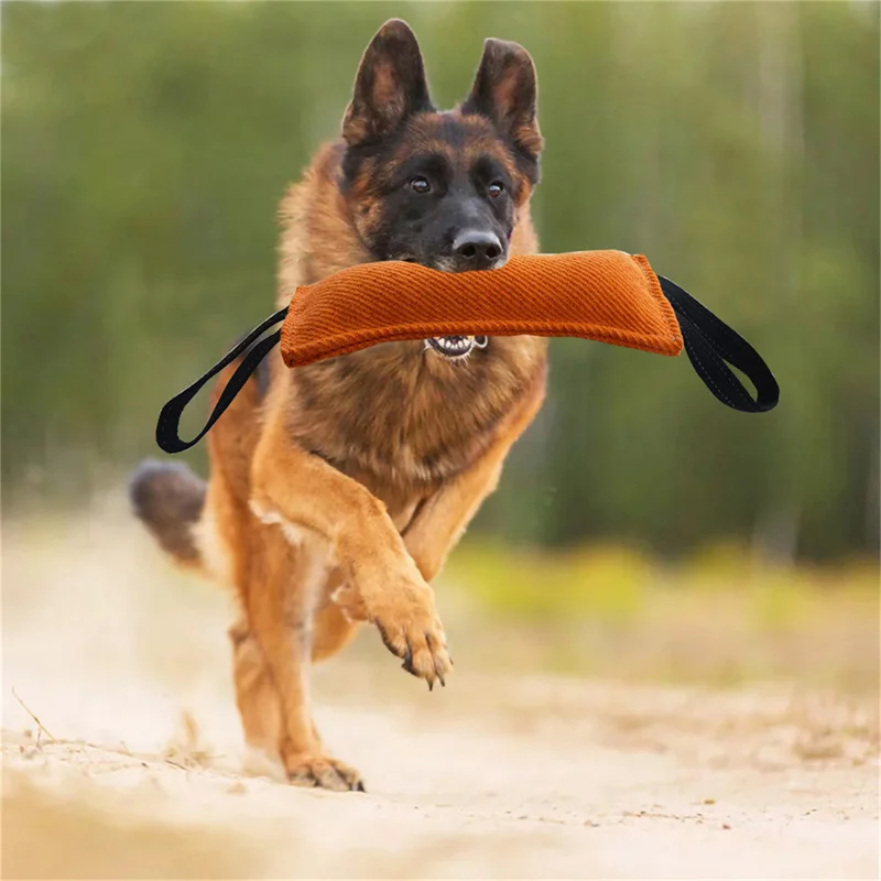 Durable Dog Bite Stick Creative Dog Tug Toy Non-slip Wear-resistant Pet Dog Training Sleeve Toy