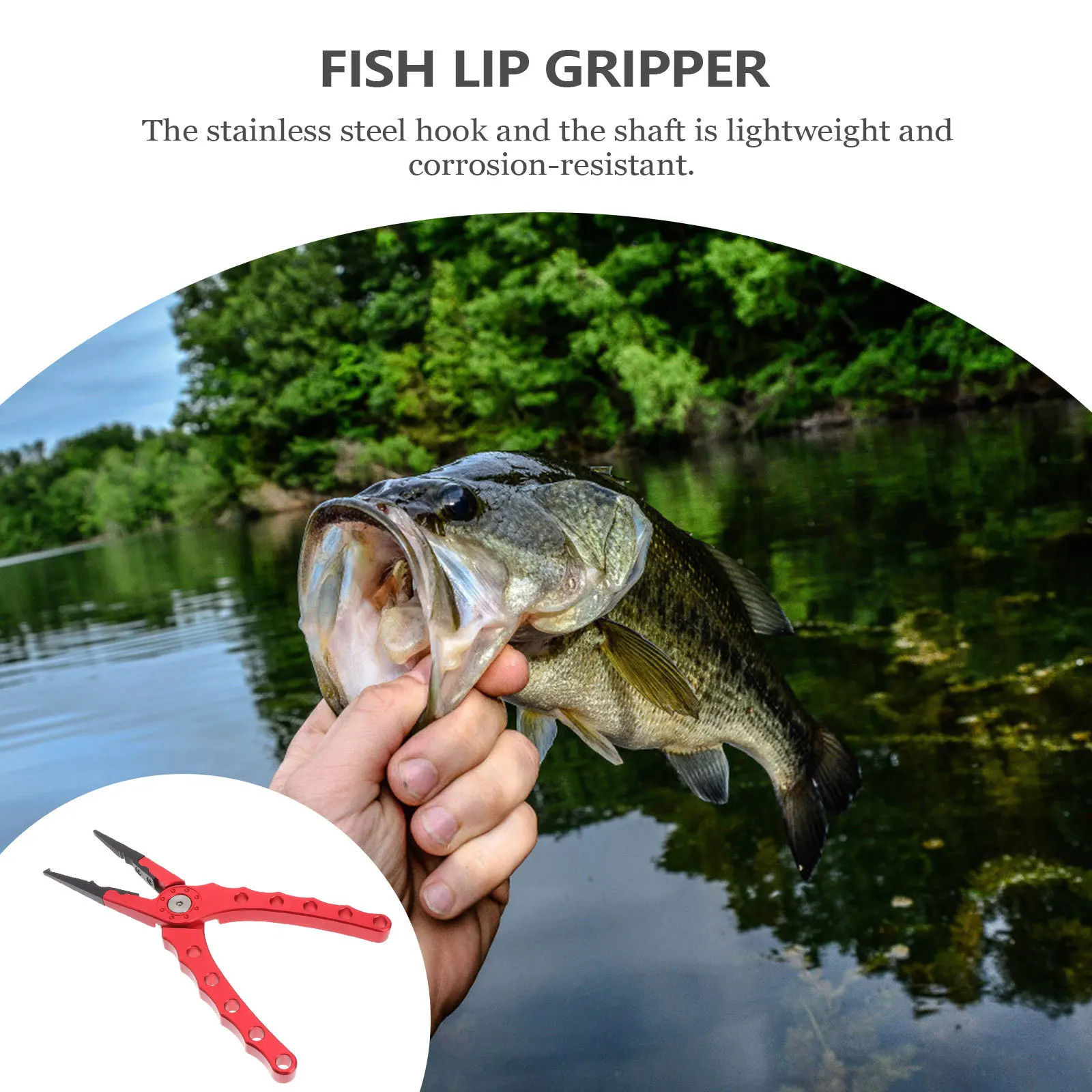 

Multifunction Fishing Scissors Pliers Wire Cutter Watermelon Red Stainless Steel Fishing Line Cutter Corrosion Resistant Tackle