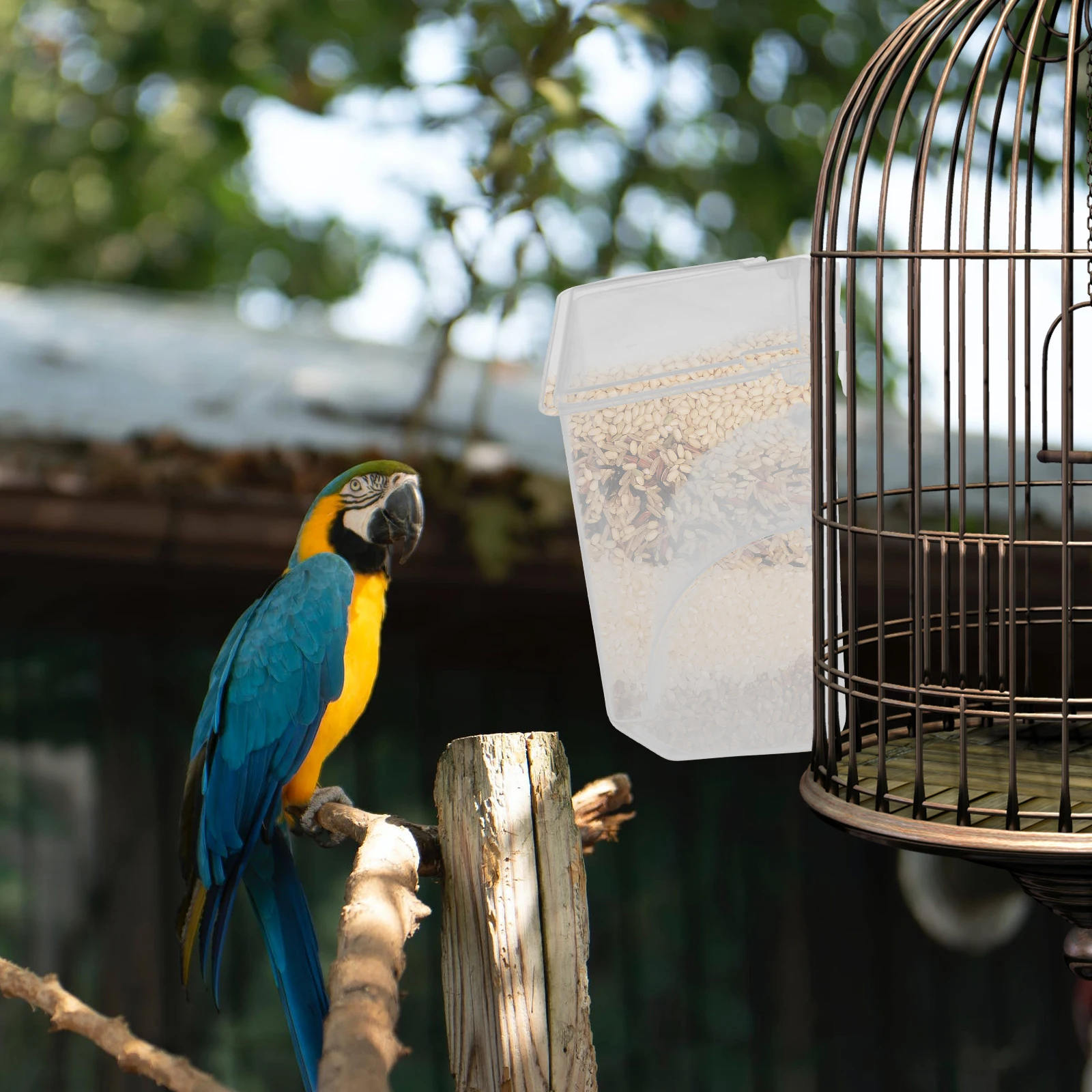

Automatic Bird Feeder White Hanging Leak Proof Design Large Capacity Plastic Pigeon Cage Supplies hanging bird pigeon food