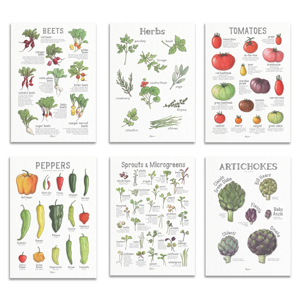 Art Print Poster - Vegetables Illustrations - Home Decor - Green Purple White Jersey Wild Theme - Food Art Poster