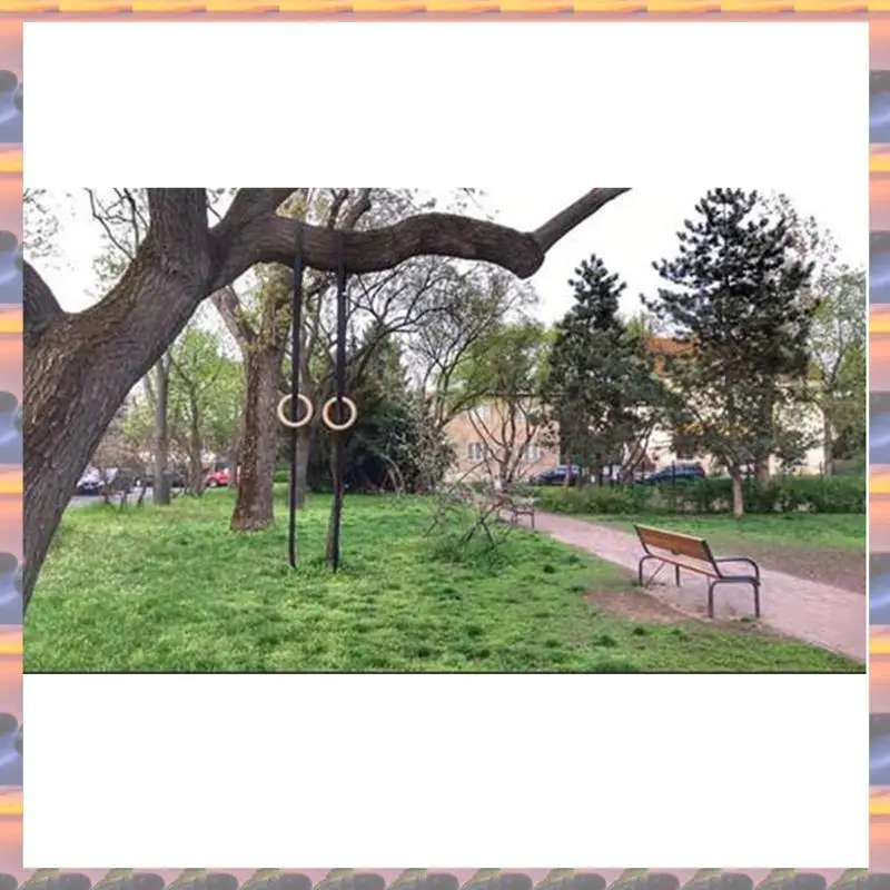 

ABML Exercise Exercise Rings Sports Rings Gym Exercise Pull Up Muscle Adjustable Long Buckle Fit Gym