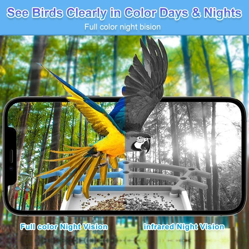 Outdoor Garden AI Smart Bird Feeder with Camera Solar Bird Feeder Camera