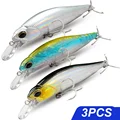 3Pcs O