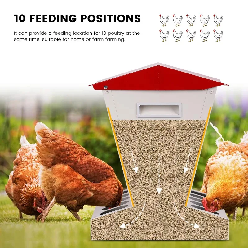 Alimentador automático de frango de alta qualidade, alimentadores de aves para galinhas, 10 furos, calha de alimentação de frango para venda