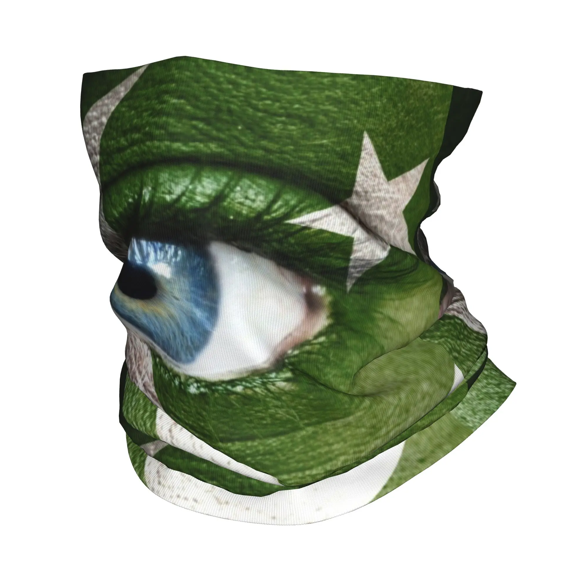 Flag Of Pakistans W… - image