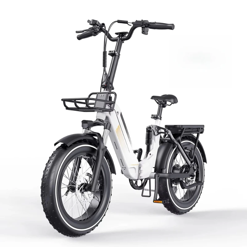 

Inventory Adult Fat Bike 1000W 750W 20 Inch Dirt Electric Bike Mountain 30AH Urban Hybrid Electric Bike Folding Electric Fat