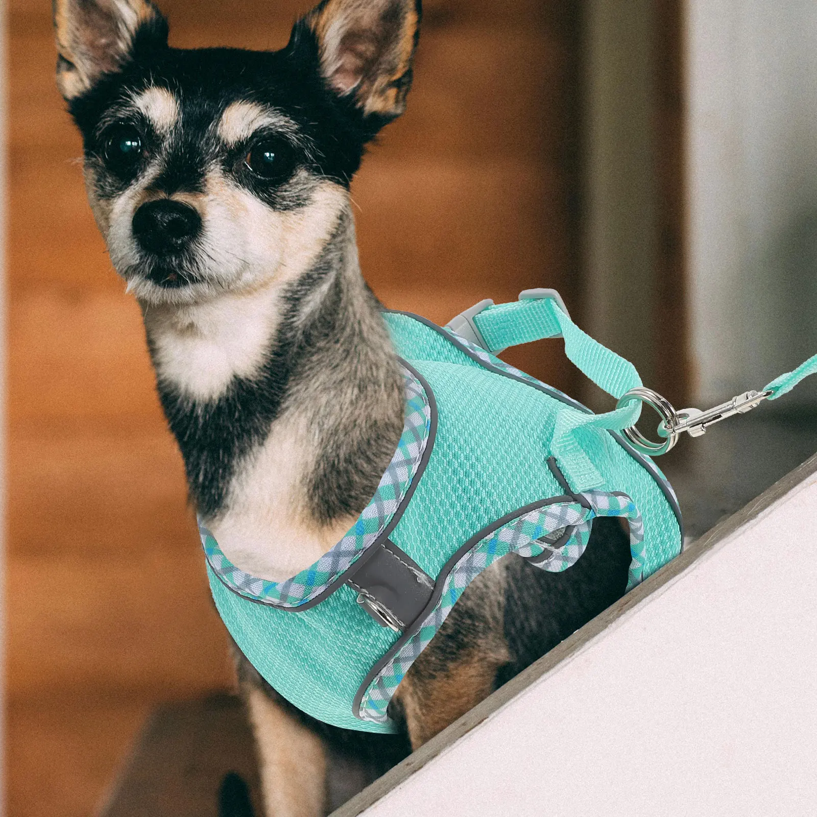 

1Set Adjustable Lightweight Dog Vest Harness Easy Wear Durable Polyester Comfortable Puppy Outdoor Harness Dog Walking Vest