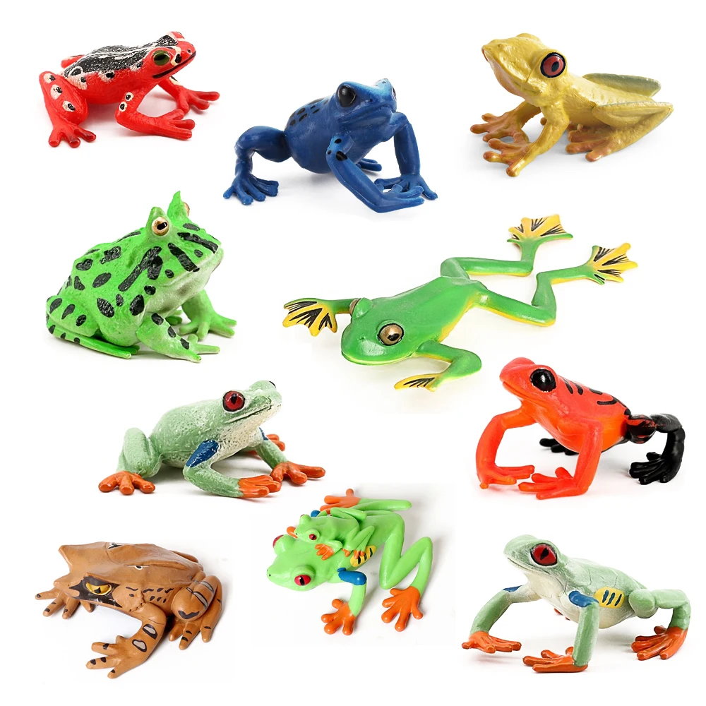 Frogs Models Wild Animals Figurines Plastic Animals Toy Simulation Tadpole Hatch Frog Growth Cycle Action Figure Toys for Kids