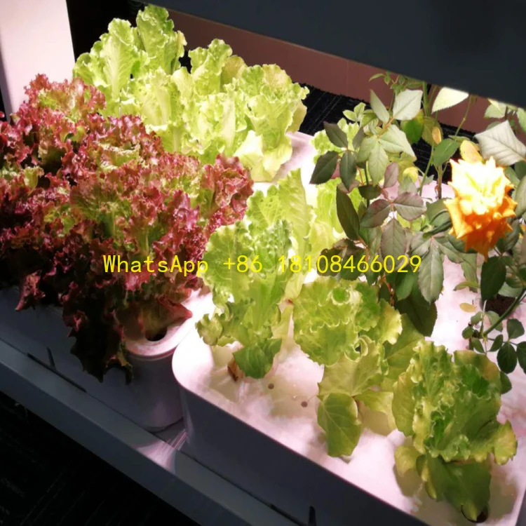 الرف تنمو مصباح مجموعات الزراعة المائية آلة زراعة الزراعة العمودية الذكية مزرعة Aquaponics المغذيات النباتات العمودية #1