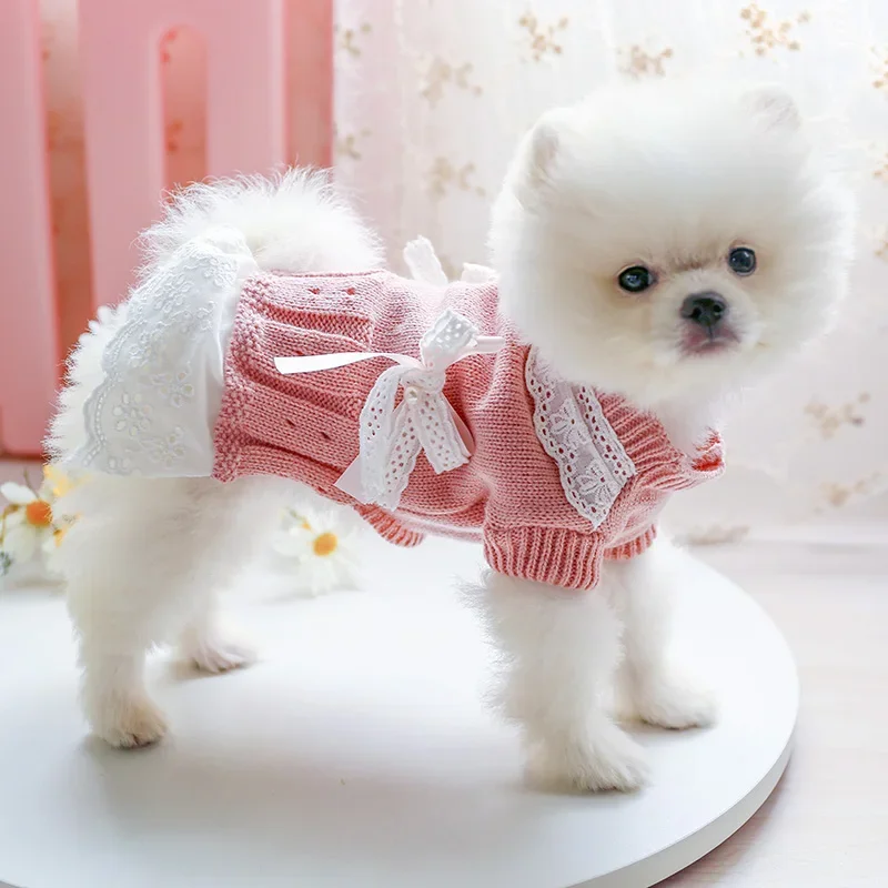 Vestido suéter para perro, bonito vestido de encaje con lazo para perro, falda de princesa, ropa de invierno para mascotas, disfraz de caniche y gato Pomerania Yorkshire