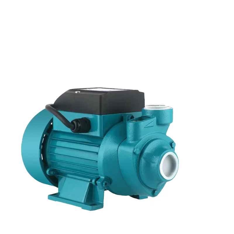 High Voltage 48V Single Stage Electric Household Pumps Customizable OEM High Pressure for Family Houses