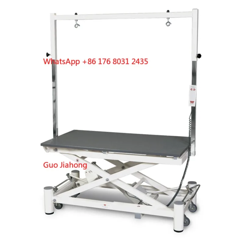 

New Design Electric Dog Pet Grooming Table With Wheels