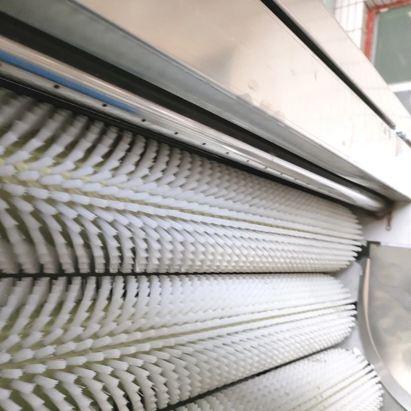 فرشاة الأسطوانة غسل تقشير تنظيف الجزرة الكسافا البطاطس الكركم الزنجبيل آلة تقشير