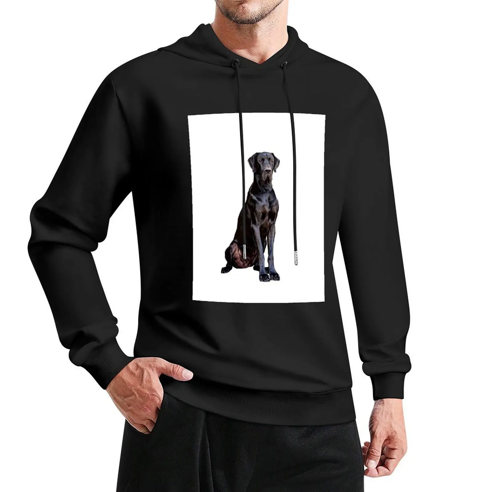 

Great Dane Stunning Black Dog of Elegance Pullover Hoodie blouse aesthetic clothing mens clothing tracksuits