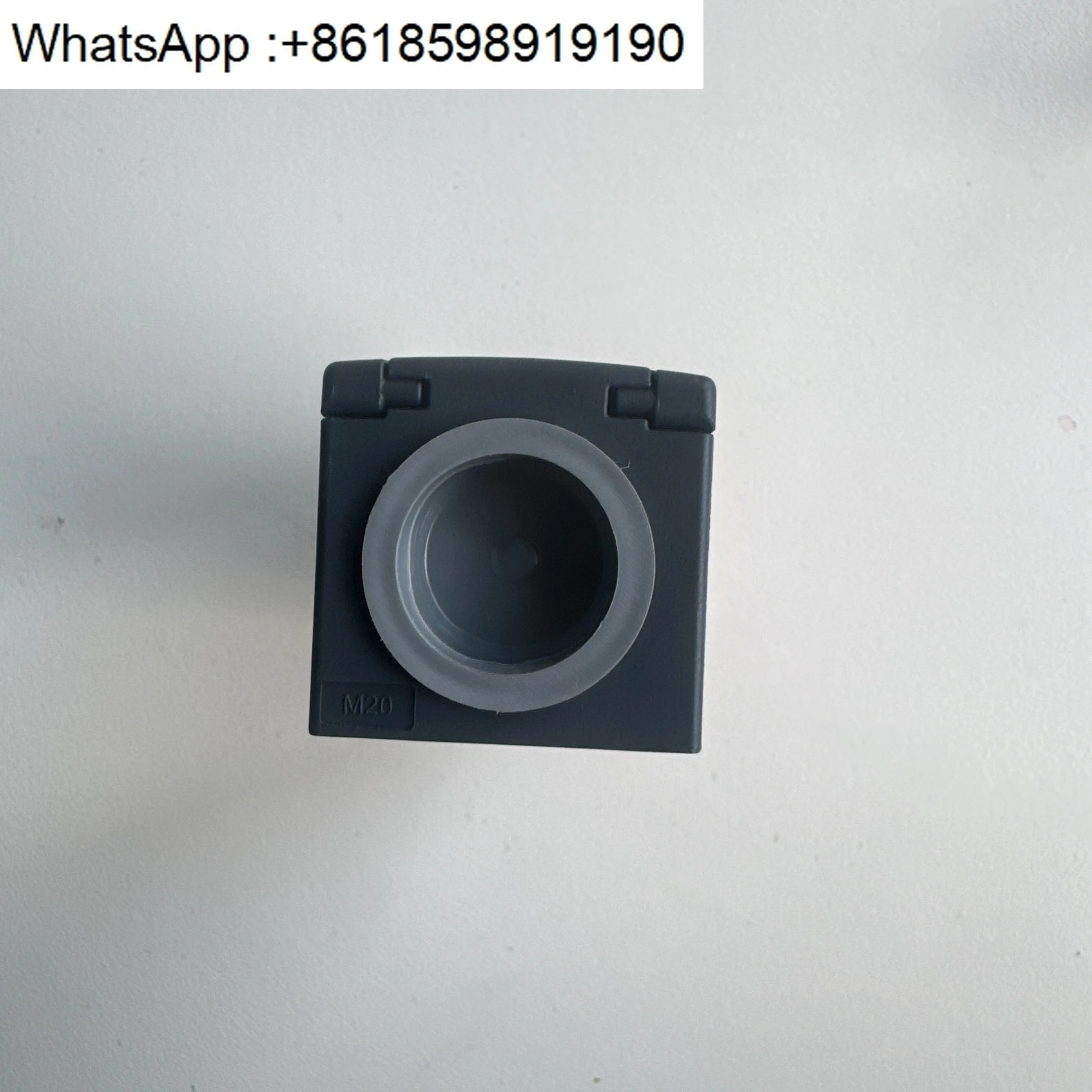 Interruptor de límite de seguridad FR 38B1-D30M2