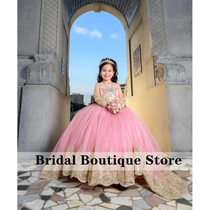

Blush Flower Girl for Wedding Long Sleeves Gold Applique Gala for Kids Birthday Party Ball Gowns Customized