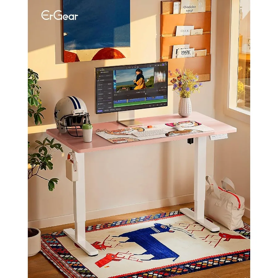 Height Adjustable Electric Standing Desk 48 x 24 Inches Sit Stand Up Desk with Memory Function for Home Office and Workstation