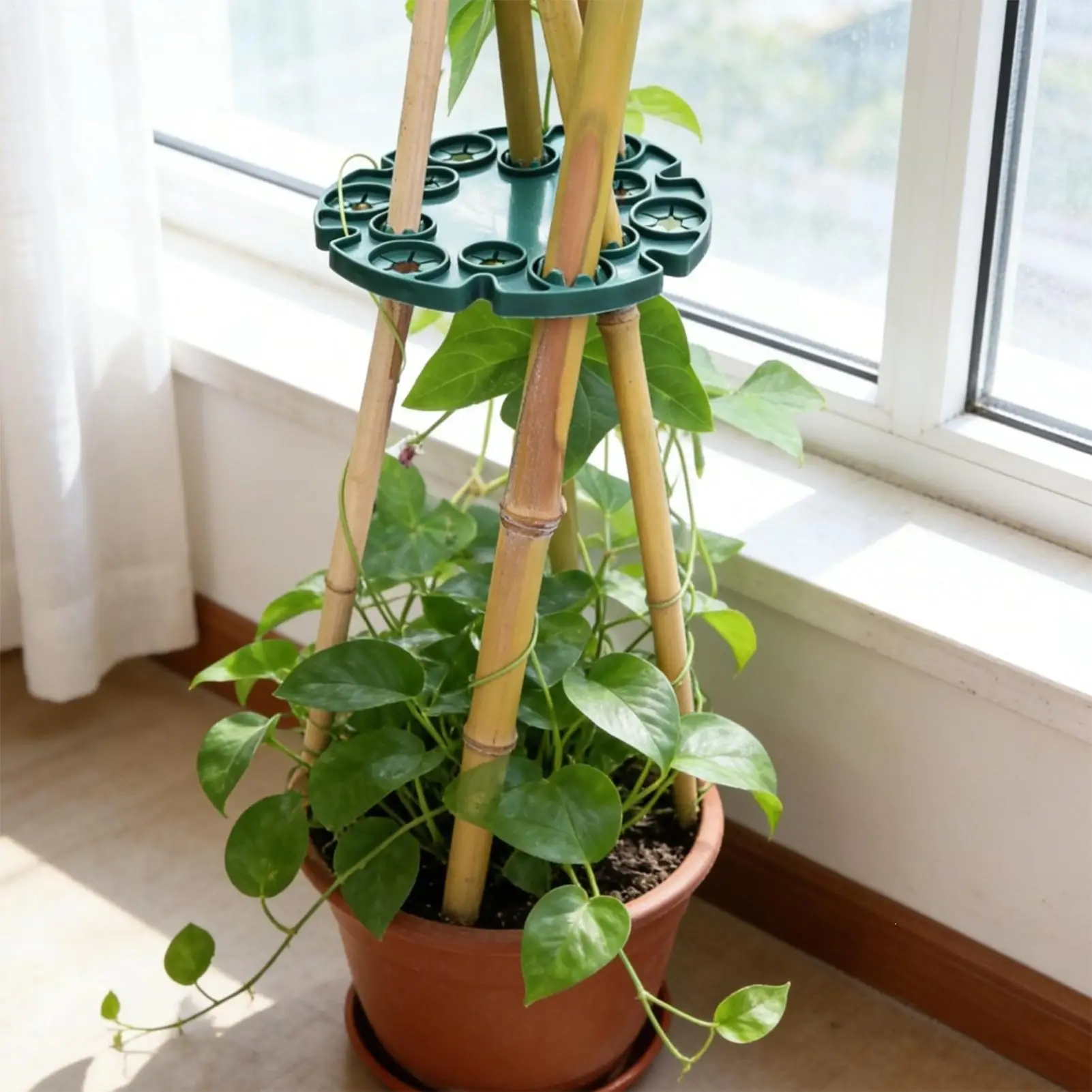 Plant Support 12 Holes Vertical Climbing Rings 10-pieces Monstera Plant Support For Outdoor Gardening Greenhouse House Peas