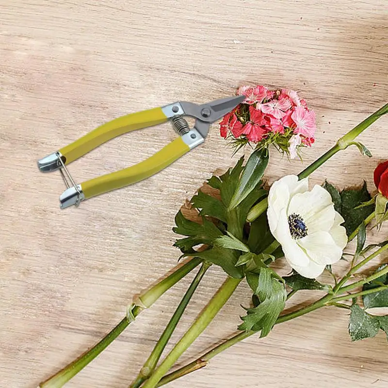 Sécateur à main antidérapant pour arbres fruitiers de jardin, coupe-arbre de Roi ation, sécateur avec prise confortable, sécateur pour fleurs