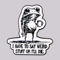 I HAVE TO SAY WEIRD Enamel Pins Cartoon Frog Brooches Badge Lapel Pins for Backpack Clothes Decoration Animal Jewelry Gifts
