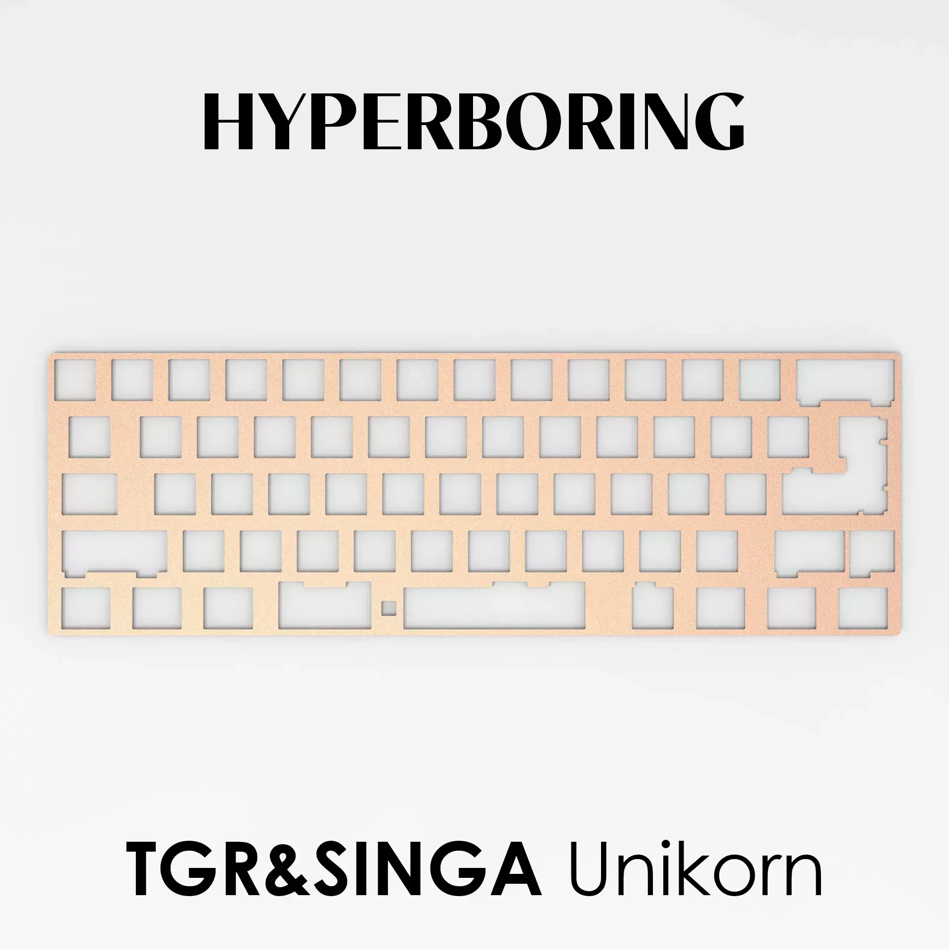 TGR Singa Unikorn キーボード カーボンファイバープレート 真鍮 PP