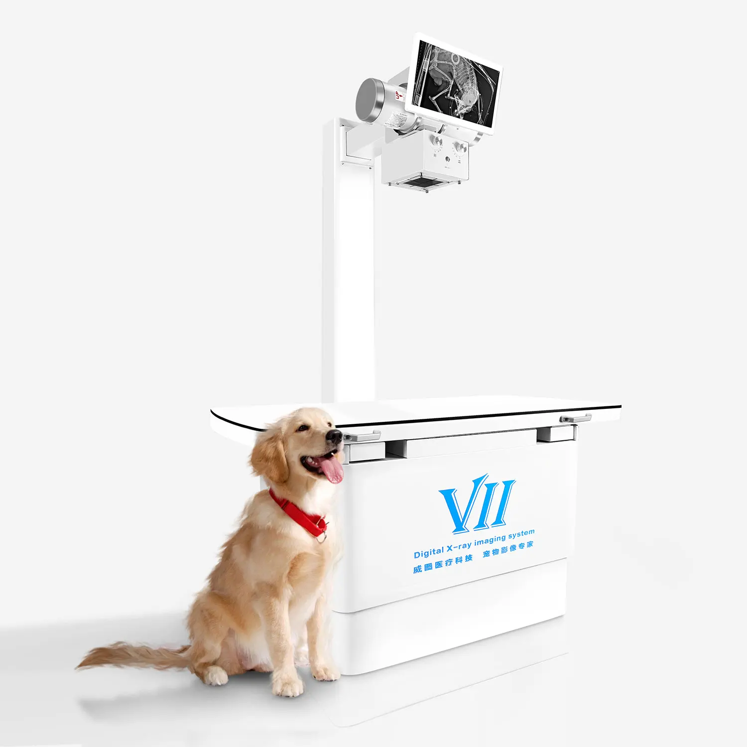 Real-time Muti-function MR Images  Veterinary Medical Machine