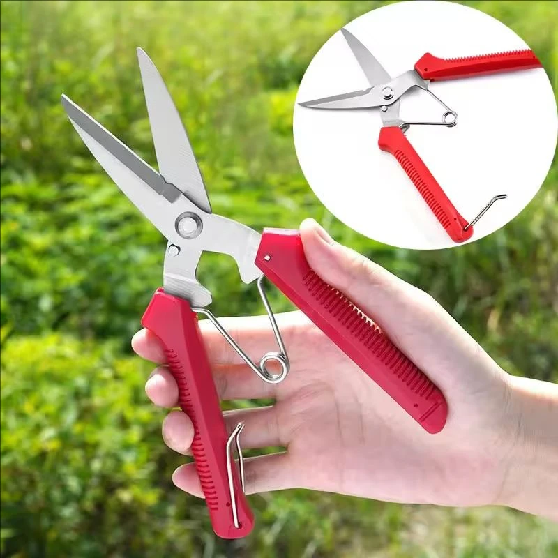 Straight/Ben Head Pruning Shears Non-slip HandleStainless Steel Outils Manuels Household Bonsai Garden Scissors Pruing Shear