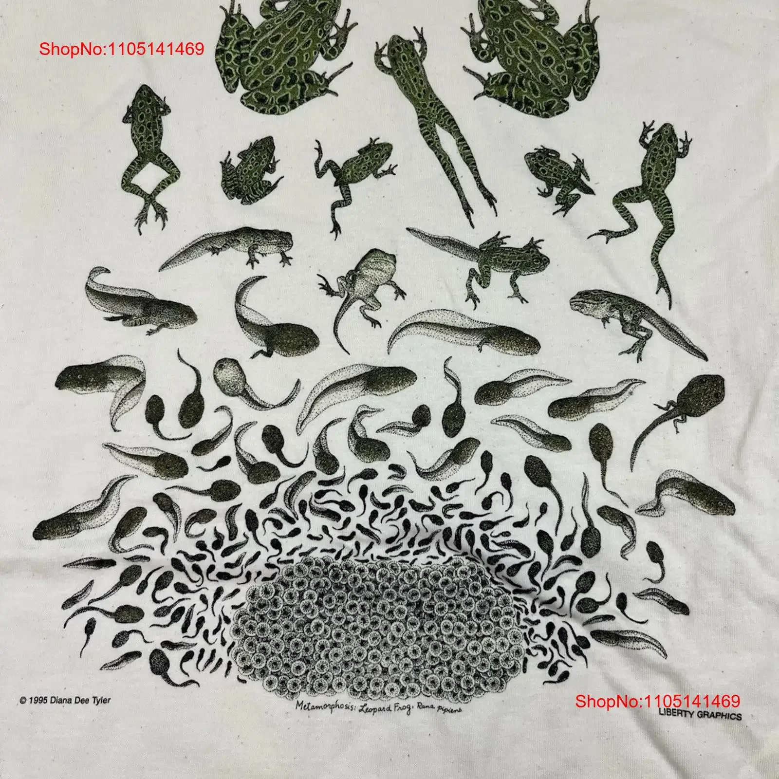 

Vintage 1995 Frog Metamorphosis T shirt Size Large Retro vintage Washed Breathable graphic Top For Everyday Wear