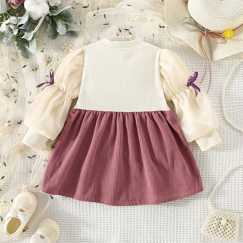 Spring And Autumn New Baby Girl Dress Long Sleeve Suspenders Lace Pleated Flowers Decorated Fake Two Birthday Party Team Dresses