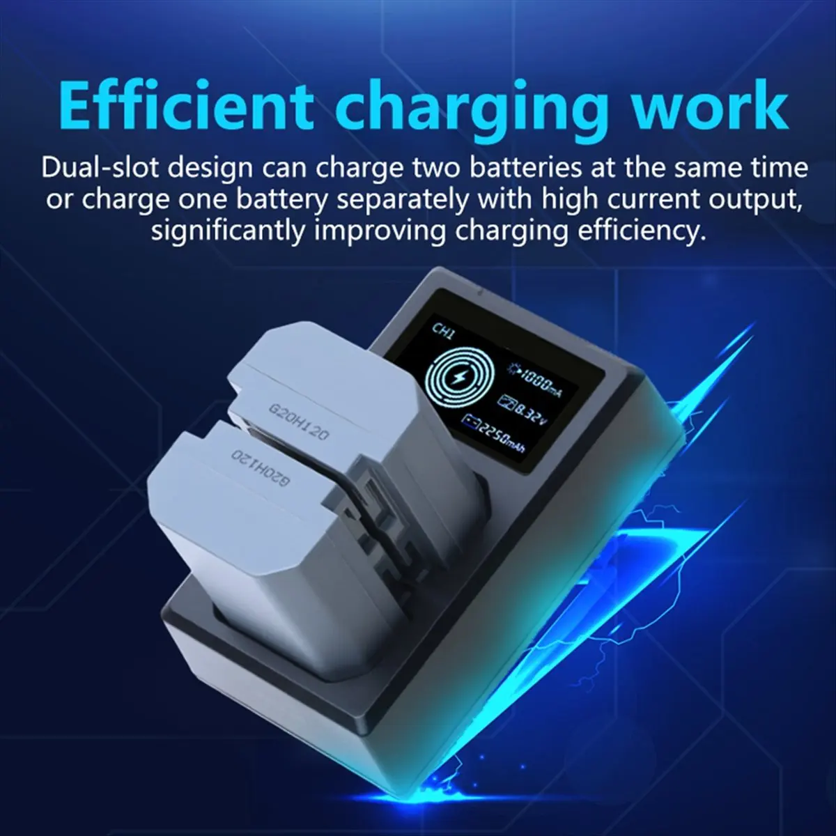 NP-FZ100 Battery Ch…