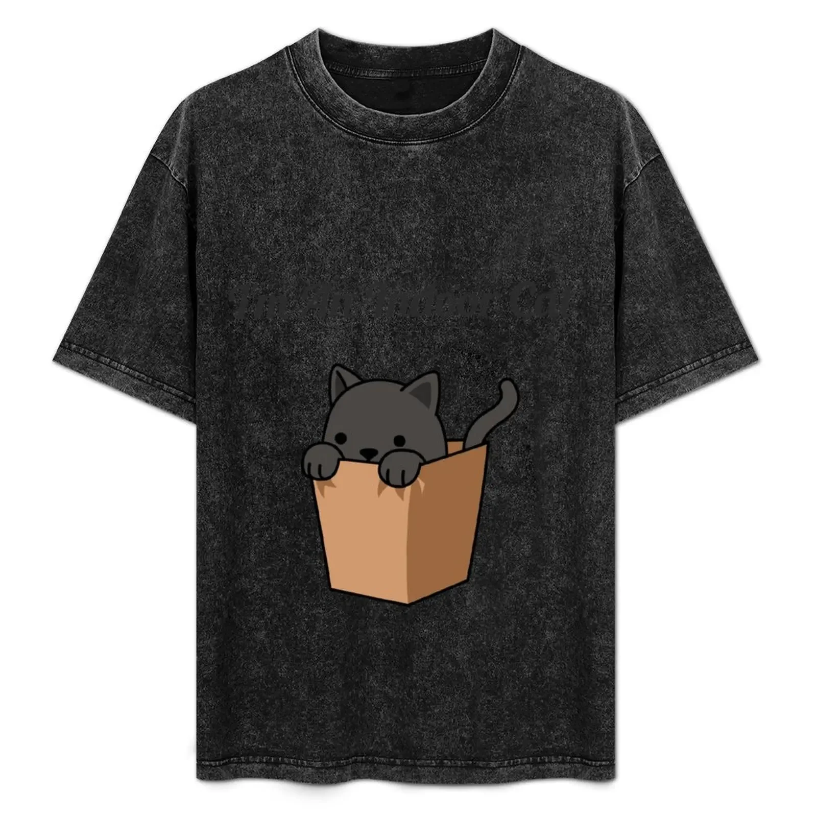 

I'm An Indoor Cat T-Shirt Plus Size Workout Short Sleeve Top