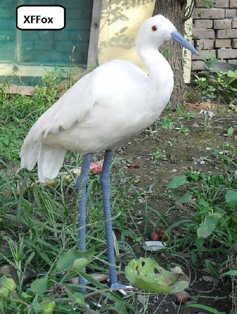 big real life Egret model foam&feather simulation white Egret bird gift about 60x45cm xf0830