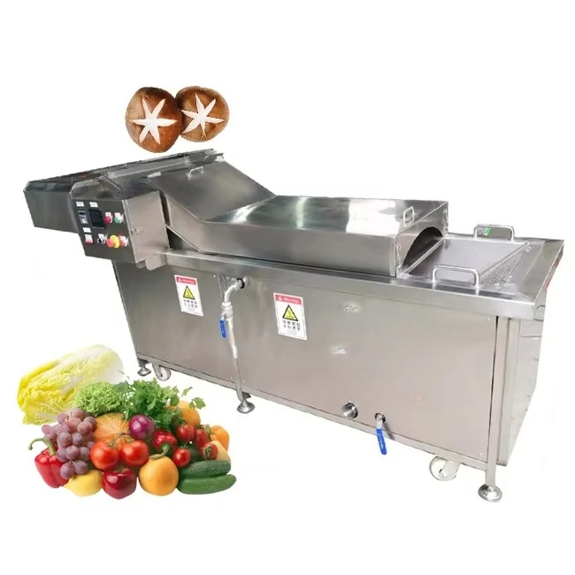 FL Fruit and Vegetable Blanching Machine Circulating Hot Water Blancher for Vegetable Raw Material Pre‑processing