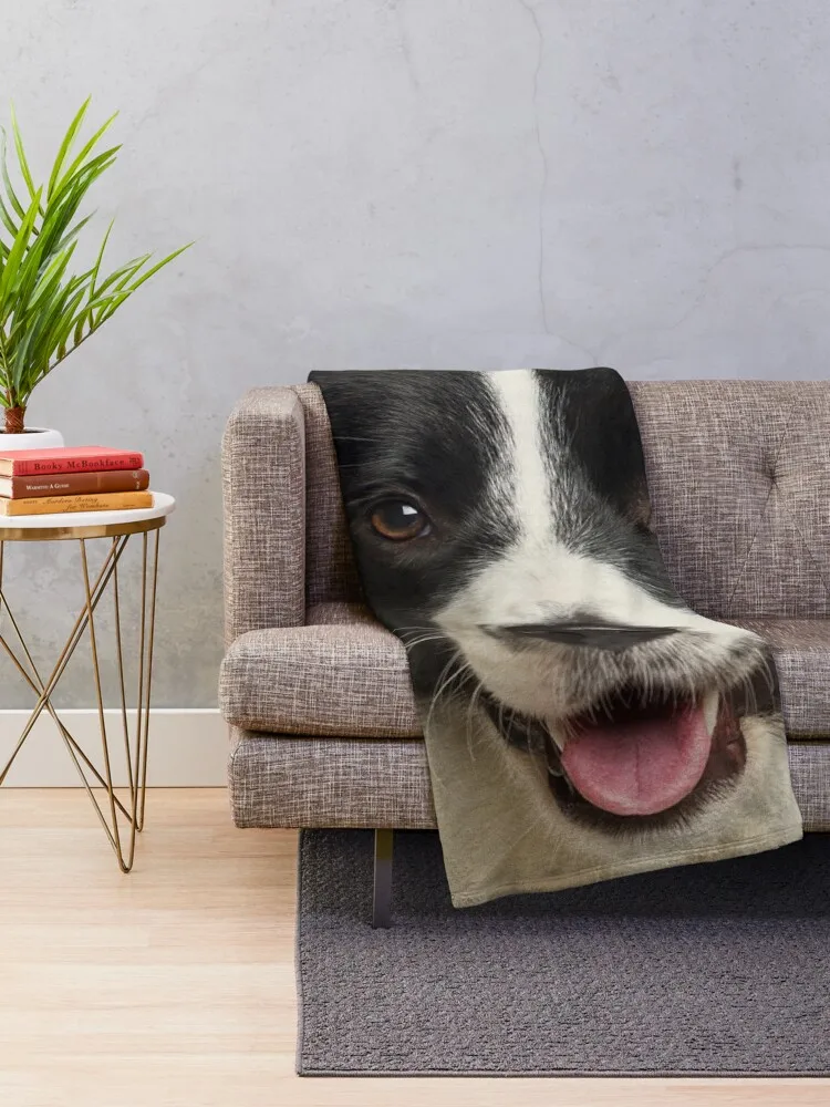 Border Collie Art, Domestic Dog, Animal Portrait Throw Blanket Fashion Sofas Cute Summer Beddings manga Blankets