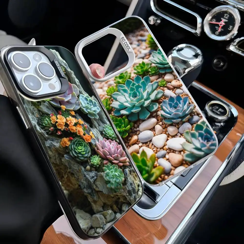 

SUCCULENT ROCK GARDEN Phone Case For iPhone 16,15,14,13,12,11,Mini,Pro,MAX White Matte Shockproof Cover