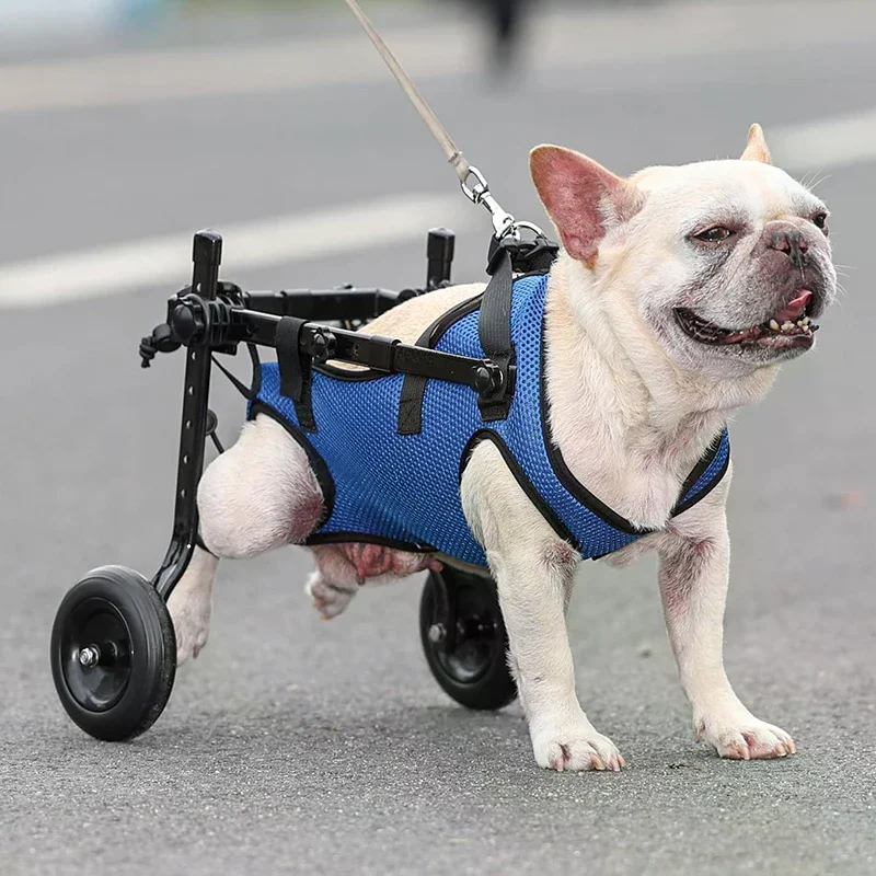 Adjustable Small Dog Back Leg Wheelchair Disabled Pet Hind Limb Mobility Rehabilitation Aid