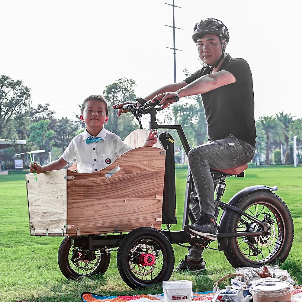 

3 Wheel Electric Bike Fat Tire Adult Electric Tricycle 20 26 Inch 36V 250W 350W 48V 500W 750W Motor Cargo E Bicycle