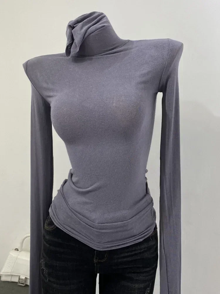 Turtleneck Slim High Quality Plain T Shirt Women Cotton Elastic Basic Female Tops Long Sleeve Sexy Thin T-shirt See Through 2024